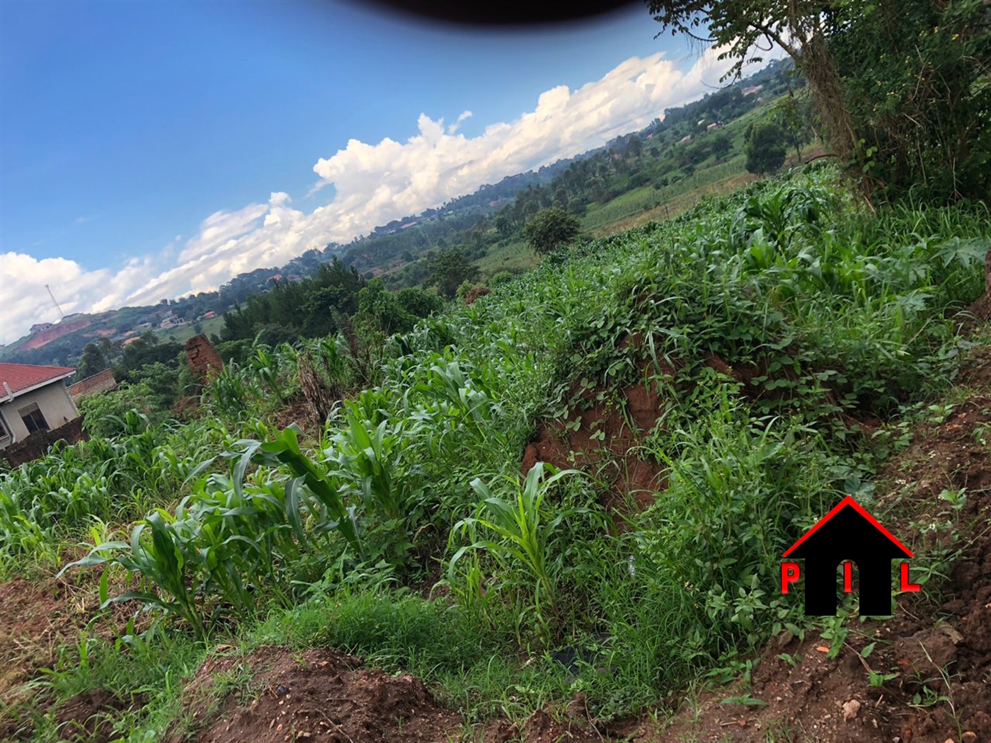 Residential Land for sale in Manyangwa Wakiso