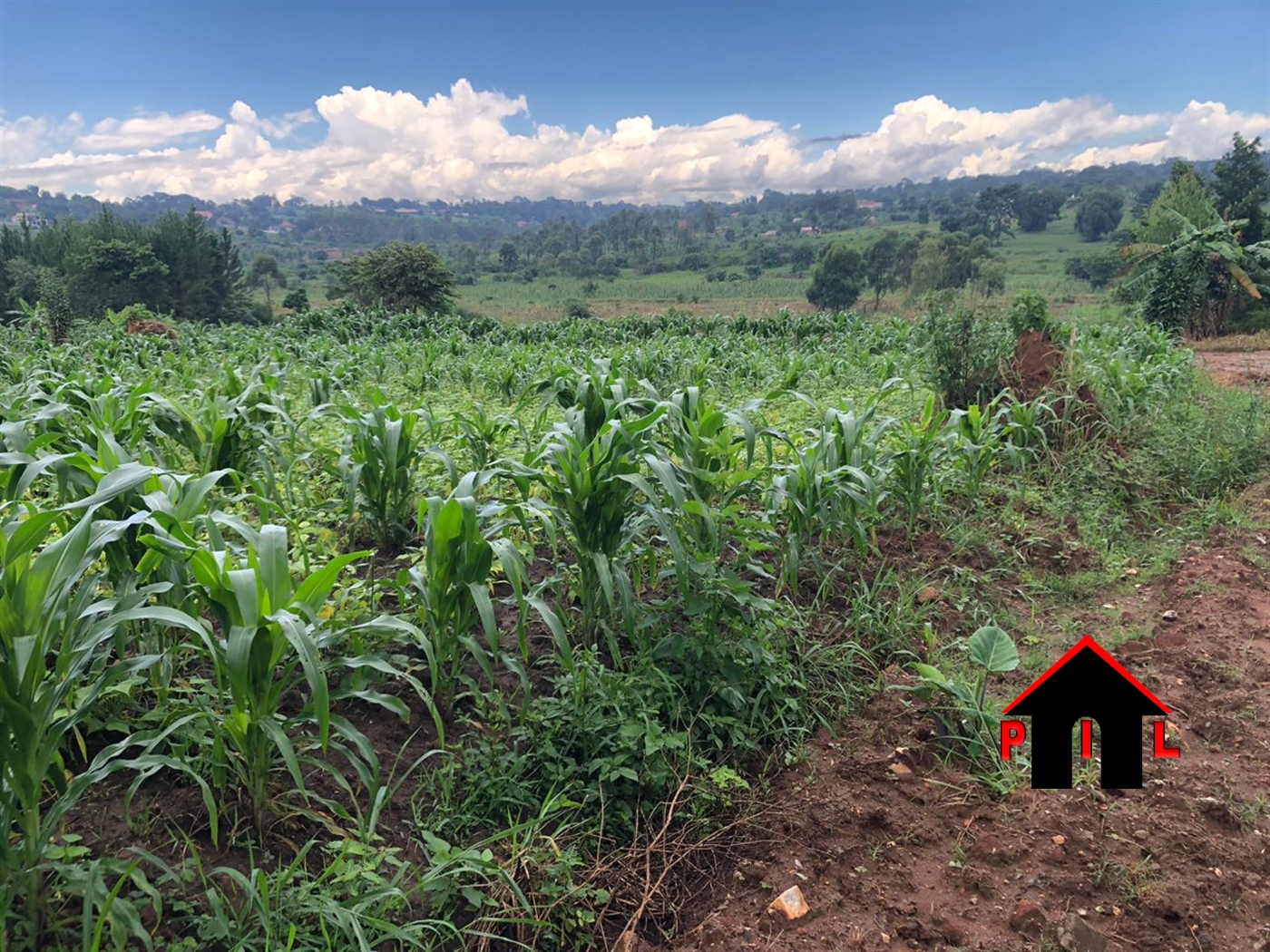 Residential Land for sale in Manyangwa Wakiso