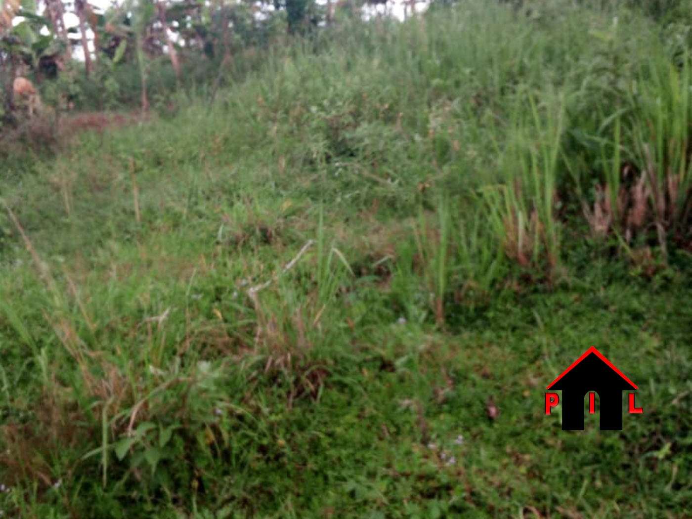 Residential Land for sale in Busukuma Wakiso