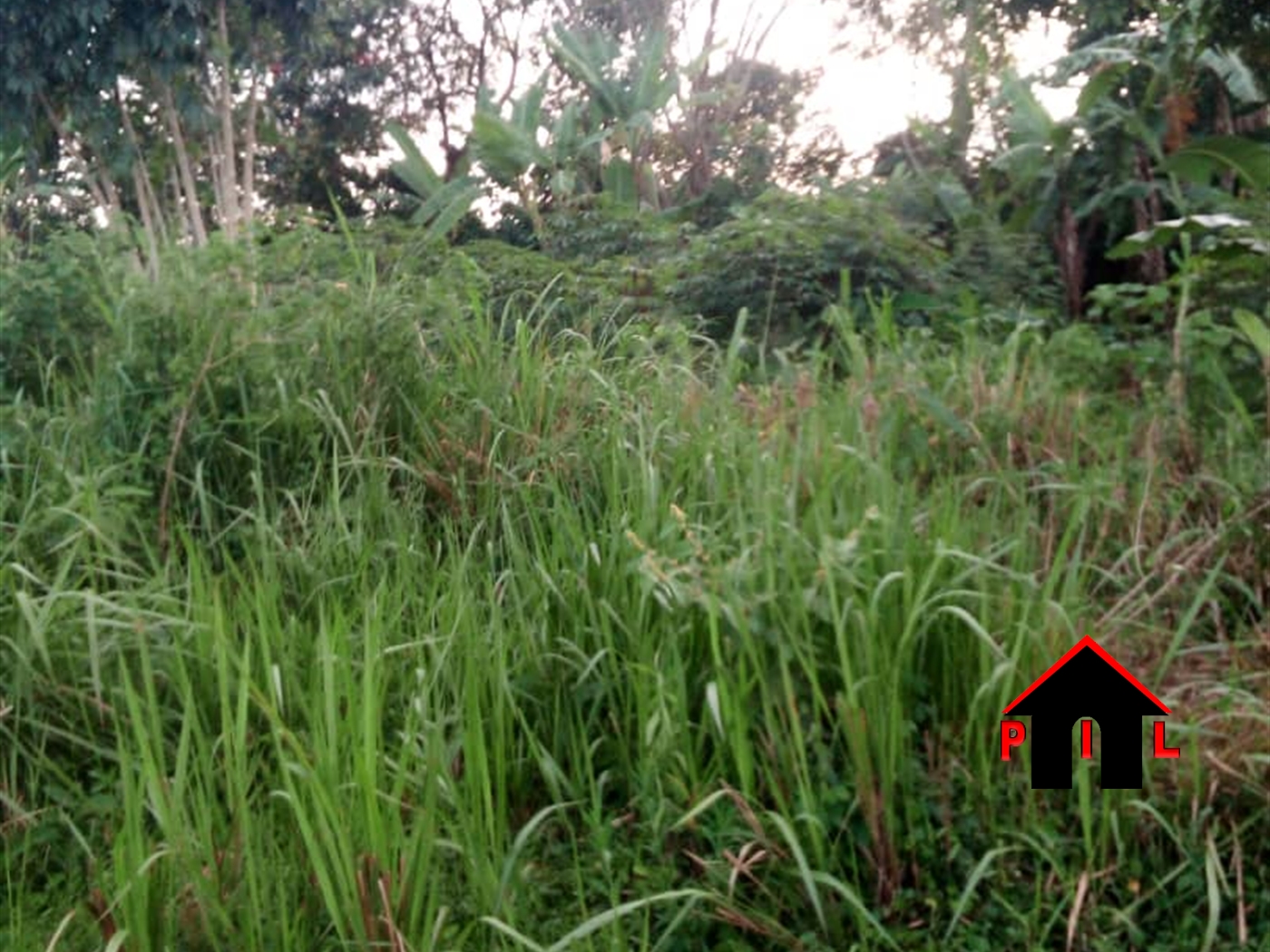 Residential Land for sale in Busukuma Wakiso