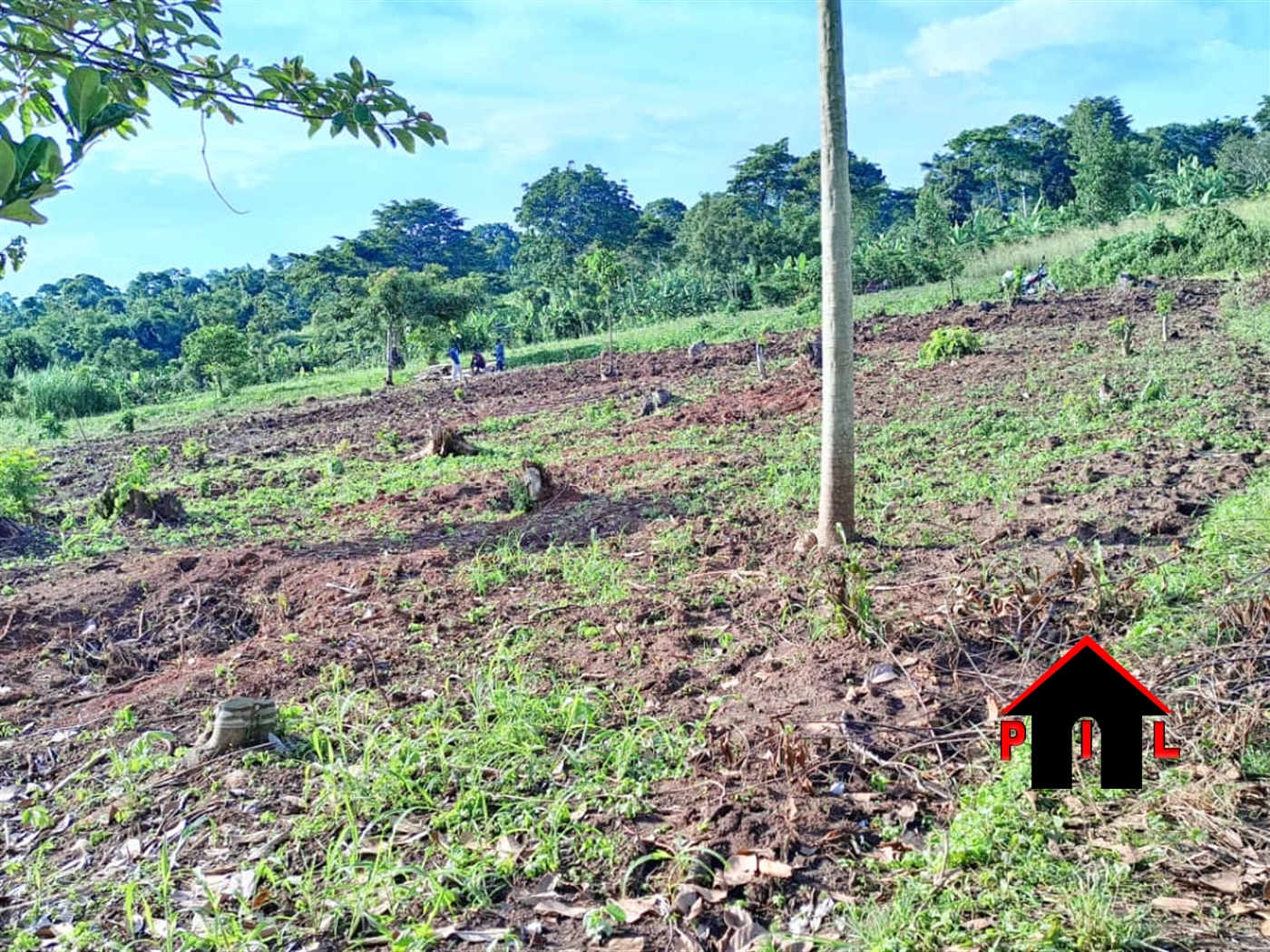 Residential Land for sale in Kiwebwa Wakiso