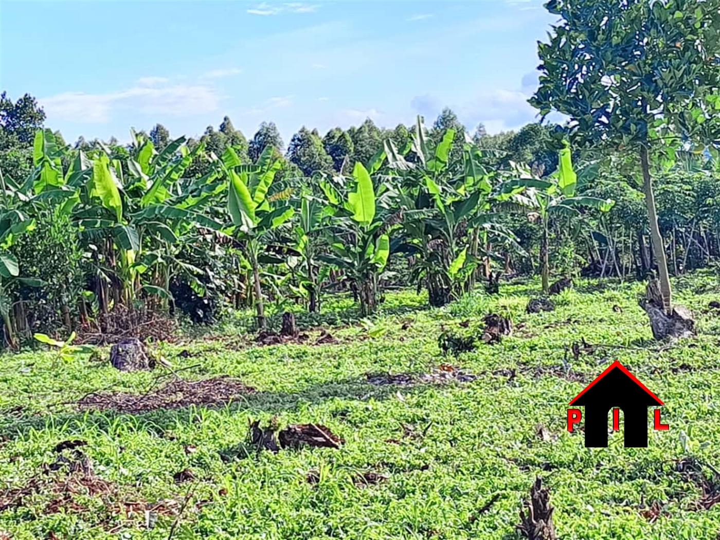 Residential Land for sale in Kiwebwa Wakiso