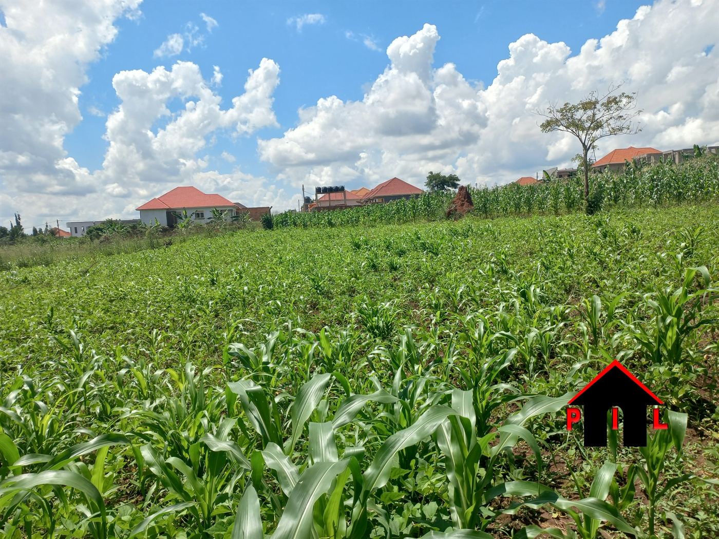 Residential Land for sale in Kira Wakiso