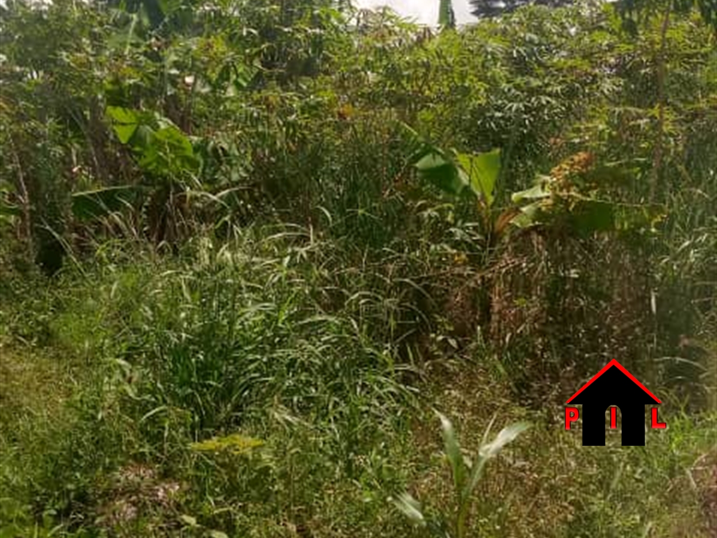 Commercial Land for sale in Kigo Wakiso