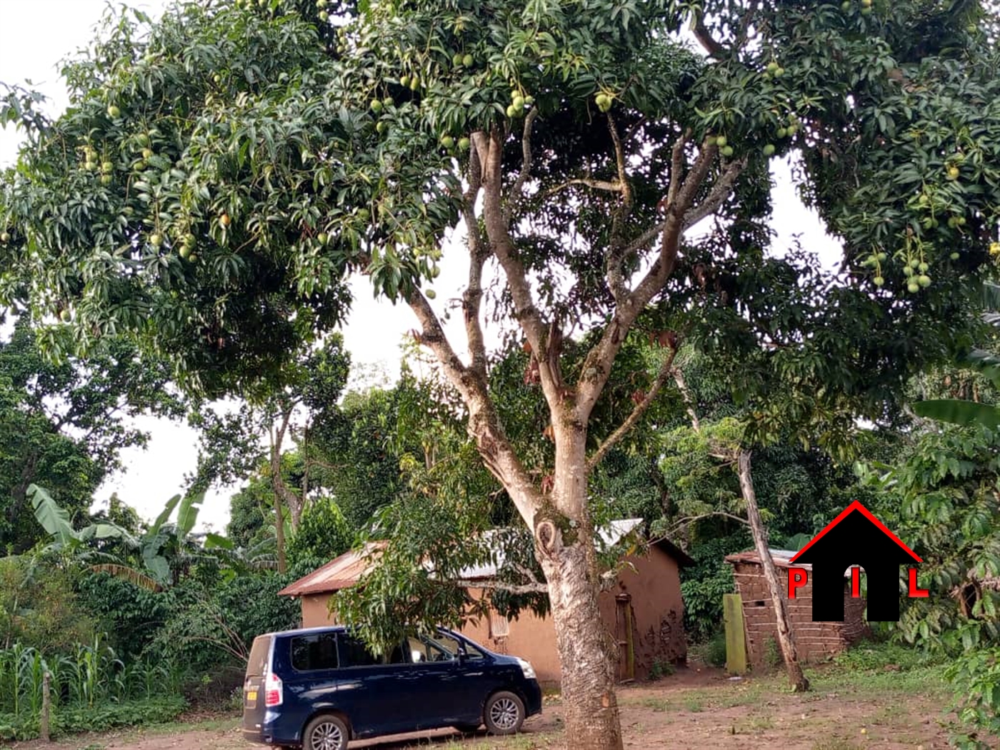 Agricultural Land for sale in Kasambya Mubende