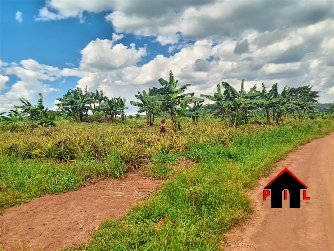 Agricultural Land for sale in Nambeere Luweero