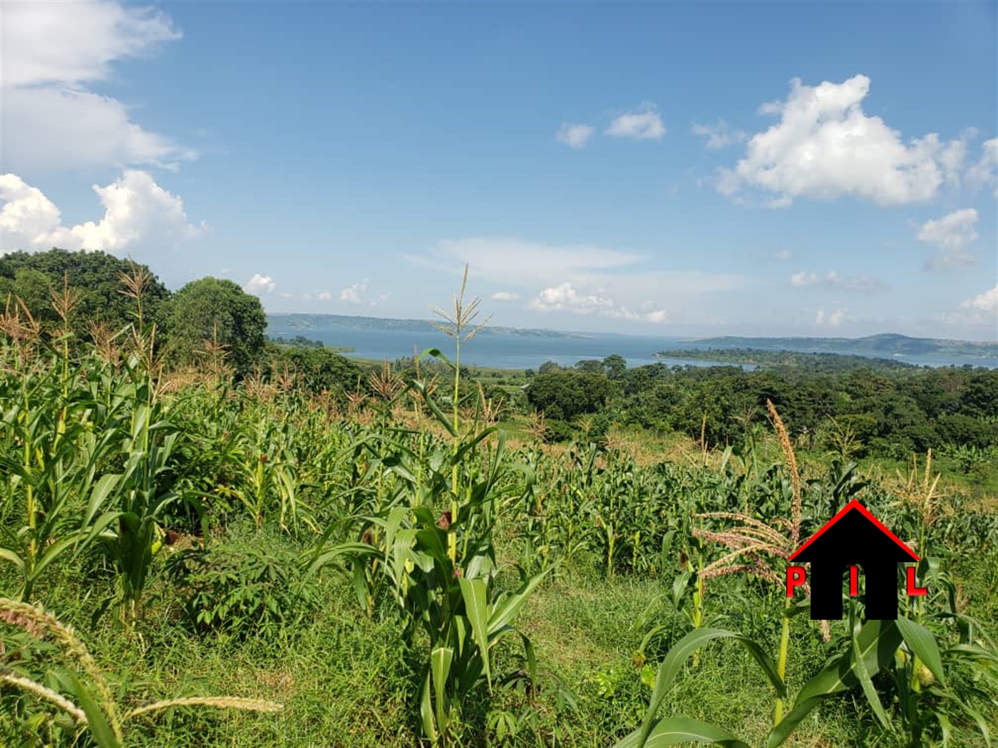 Agricultural Land for sale in Buwooya Buyikwe