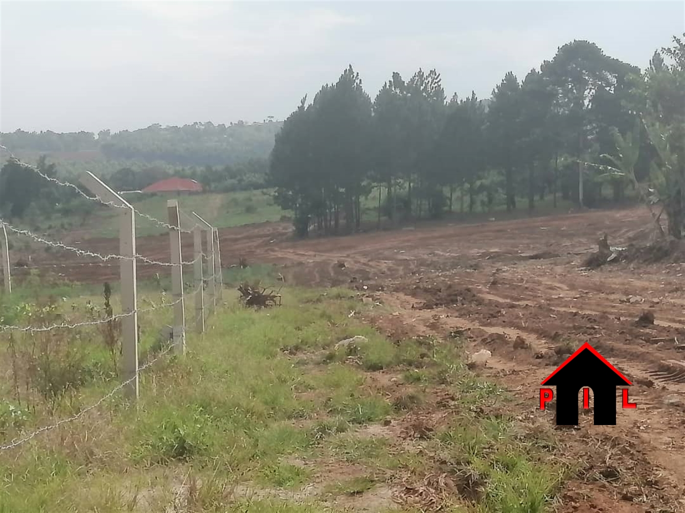 Residential Land for sale in Busukuma Wakiso