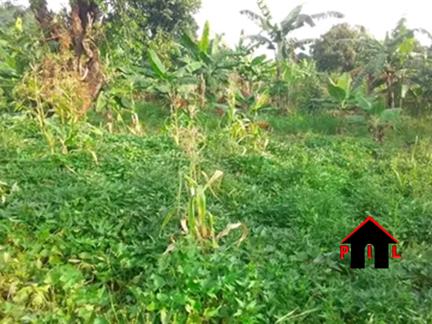 Residential Land for sale in Nakawuka Wakiso