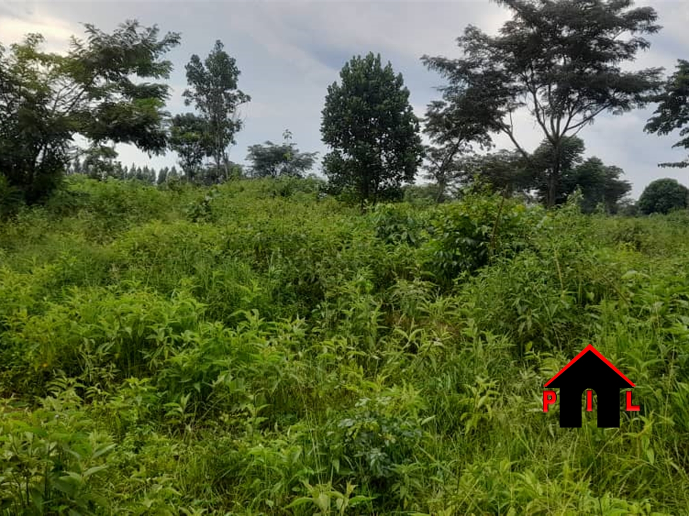 Agricultural Land for sale in Ndibulungi Luweero