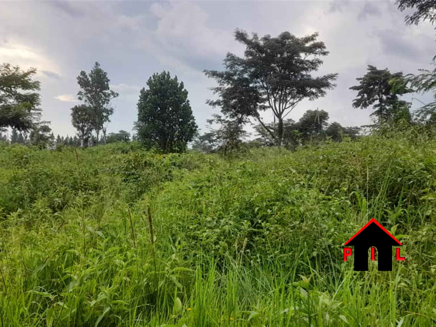 Agricultural Land for sale in Ndibulungi Luweero