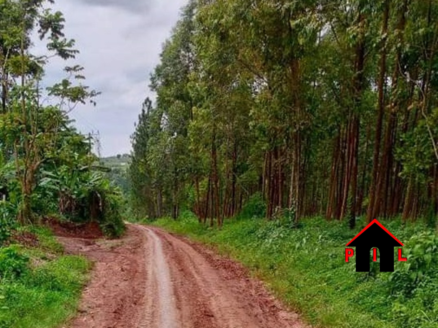 Residential Land for sale in Tongolo Wakiso