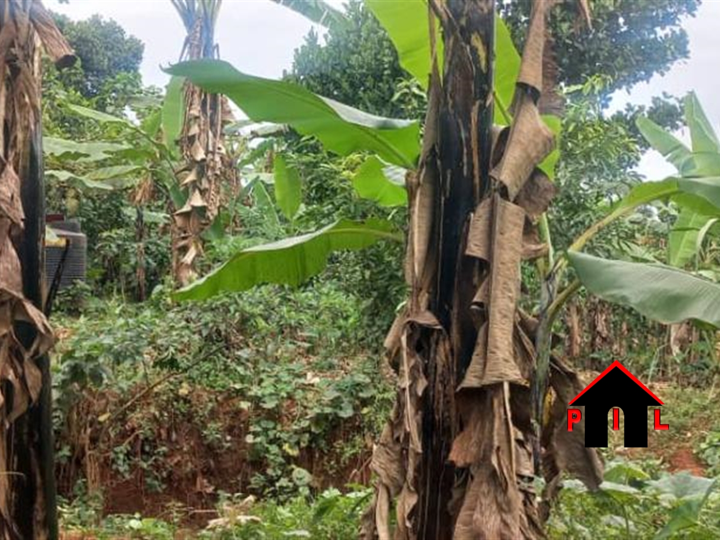 Residential Land for sale in Kitti Wakiso