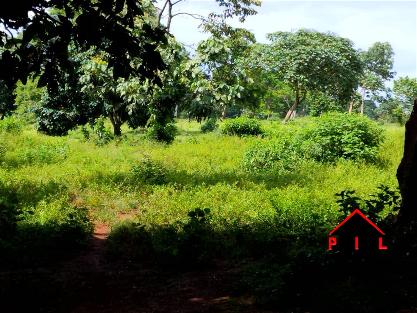 Agricultural Land for sale in Ssembabule Sembabule