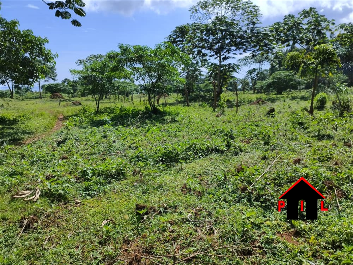 Agricultural Land for sale in Ssembabule Sembabule