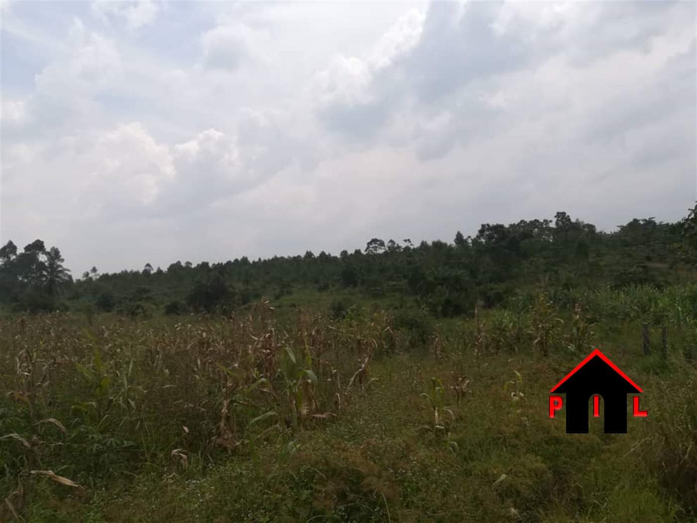 Agricultural Land for sale in Kyaka Kyegegwa