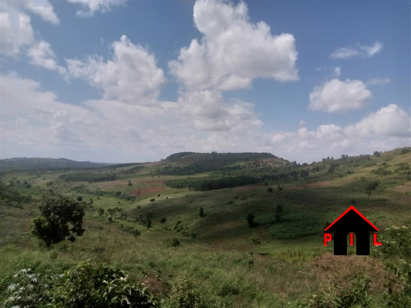 Agricultural Land for sale in Mparo Kyegegwa