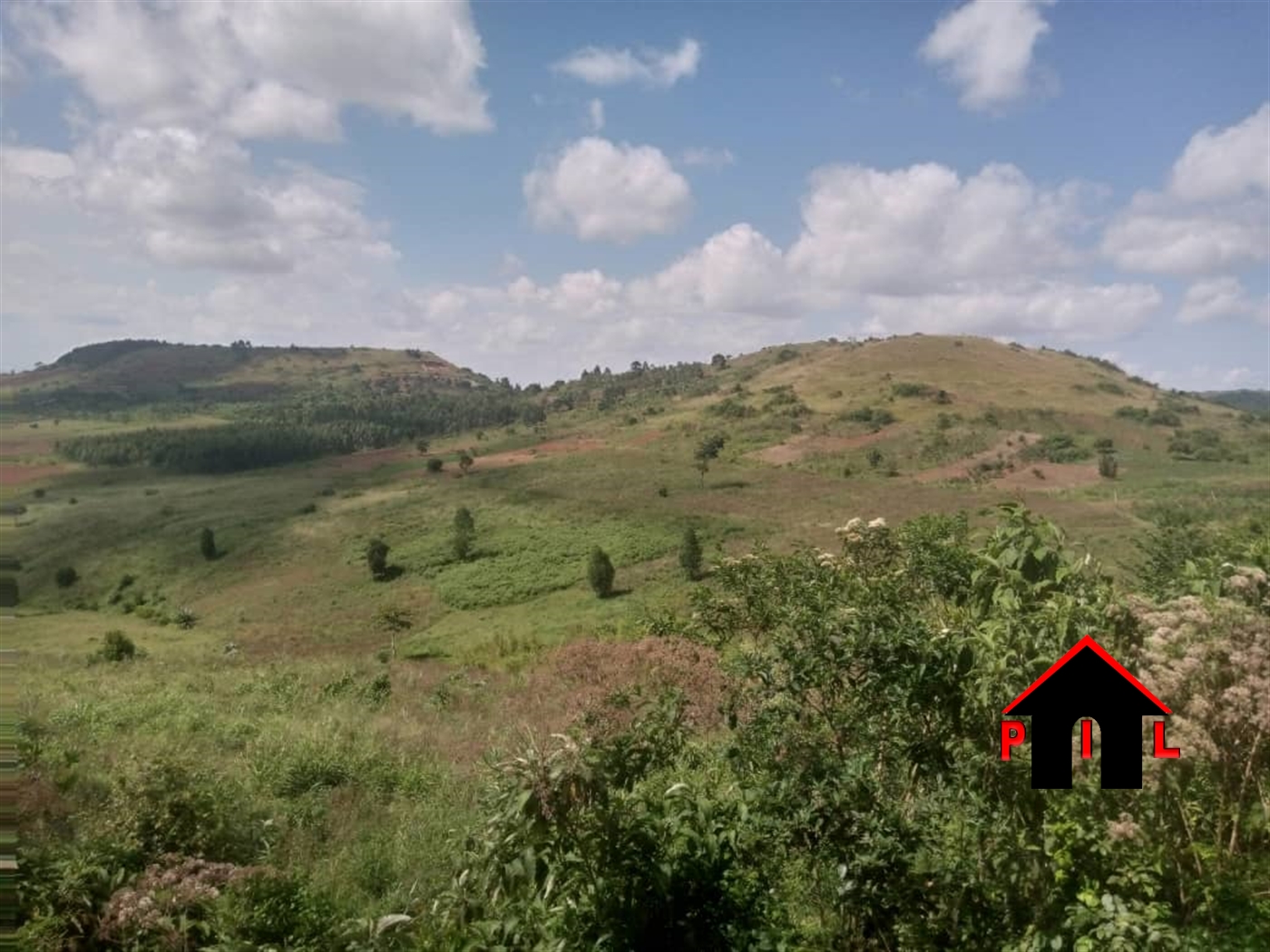 Agricultural Land for sale in Mparo Kyegegwa