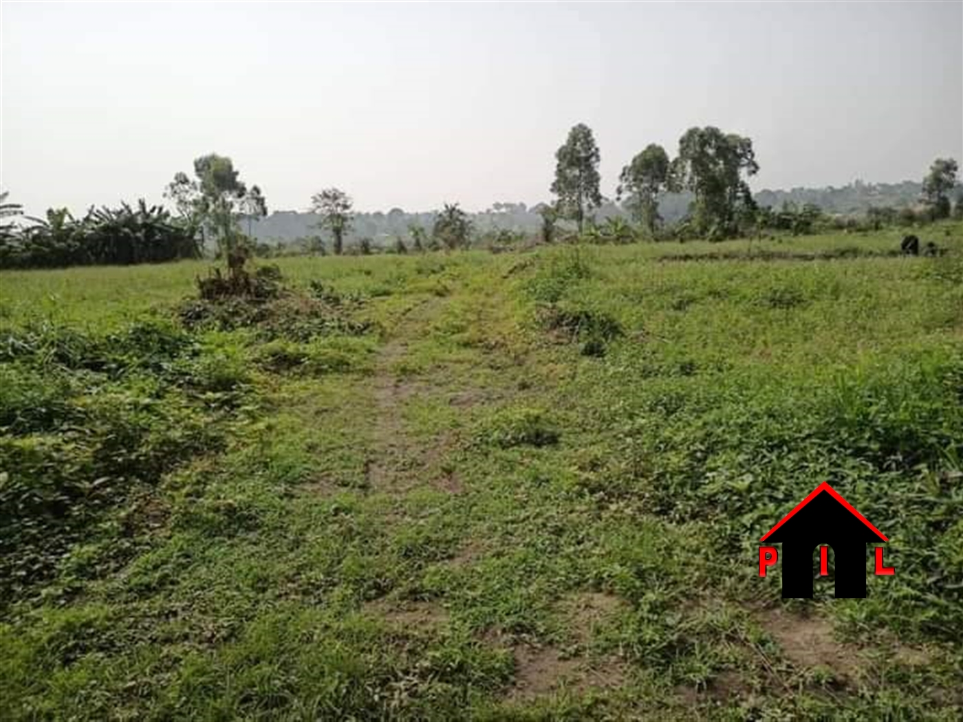 Agricultural Land for sale in Kisimba Hoima