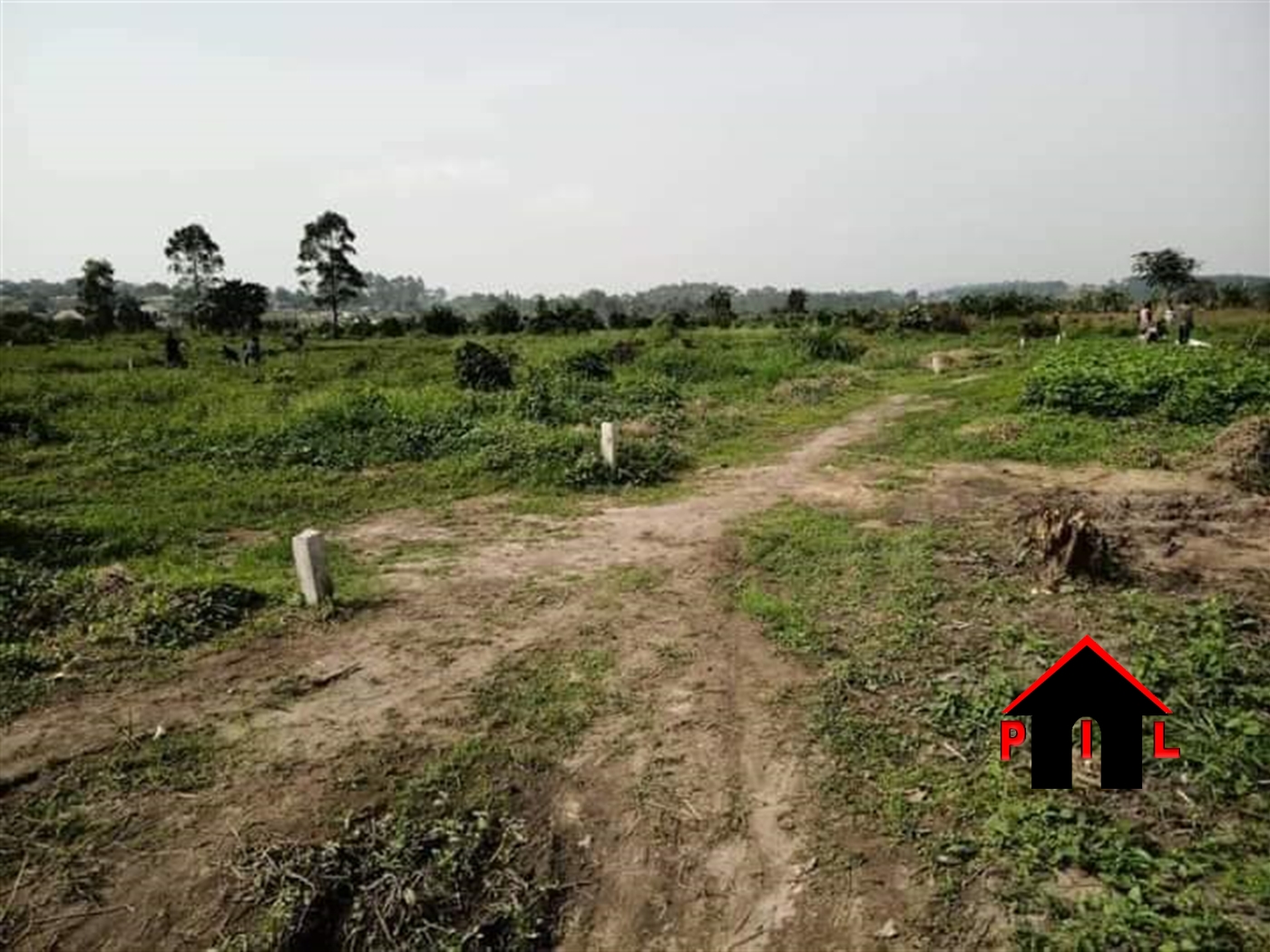 Agricultural Land for sale in Kisimba Hoima