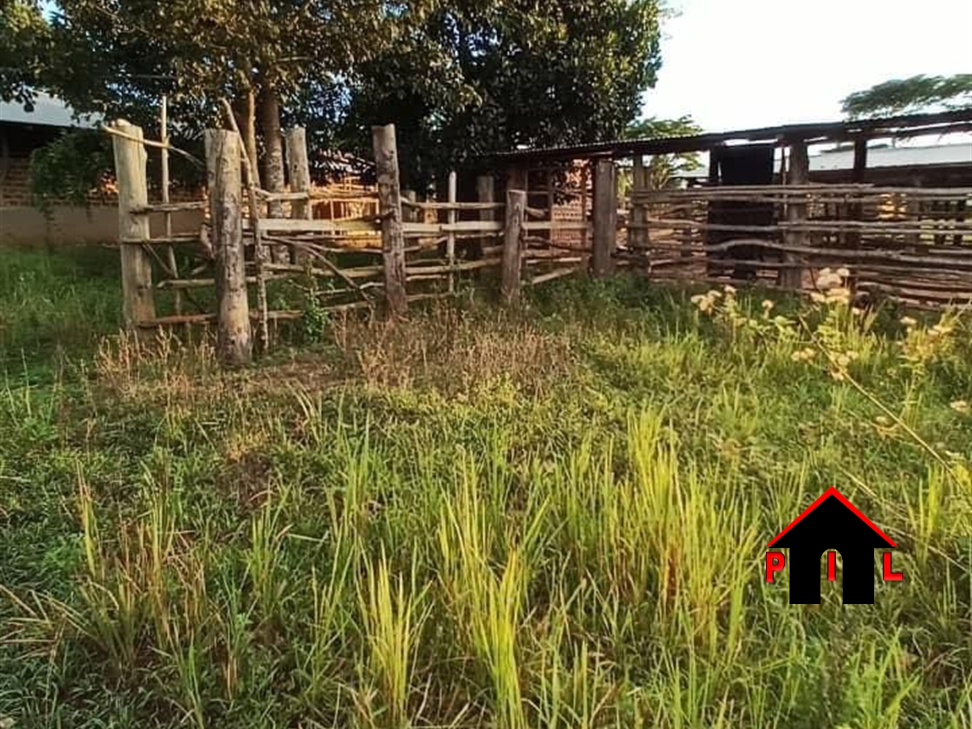 Residential Land for sale in Ziloobwe Luweero