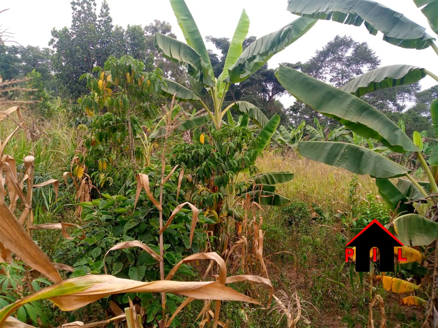 Residential Land for sale in Katende Mpigi