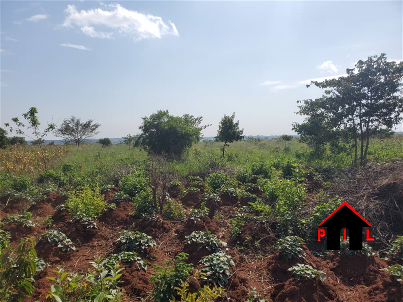 Multipurpose Land for sale in Kabunyata Luweero