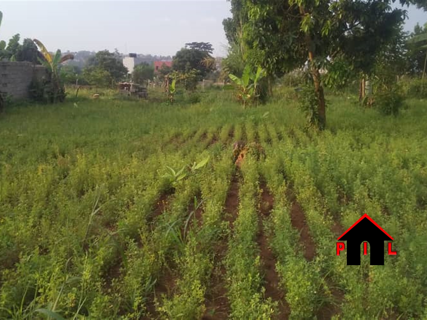 Agricultural Land for sale in Gayaza Wakiso