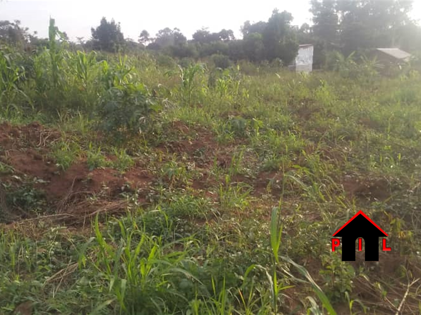 Agricultural Land for sale in Gayaza Wakiso