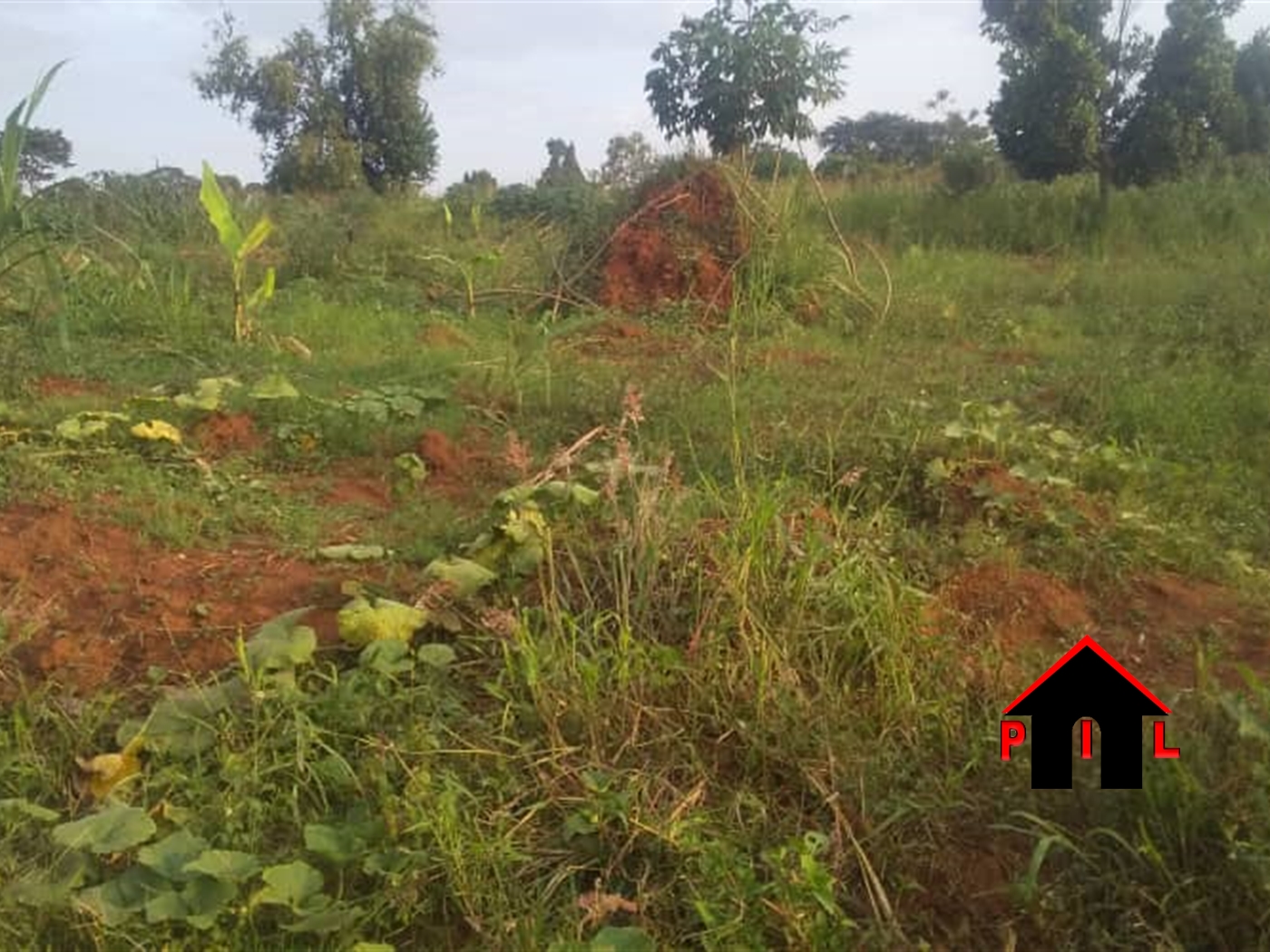 Agricultural Land for sale in Gayaza Wakiso