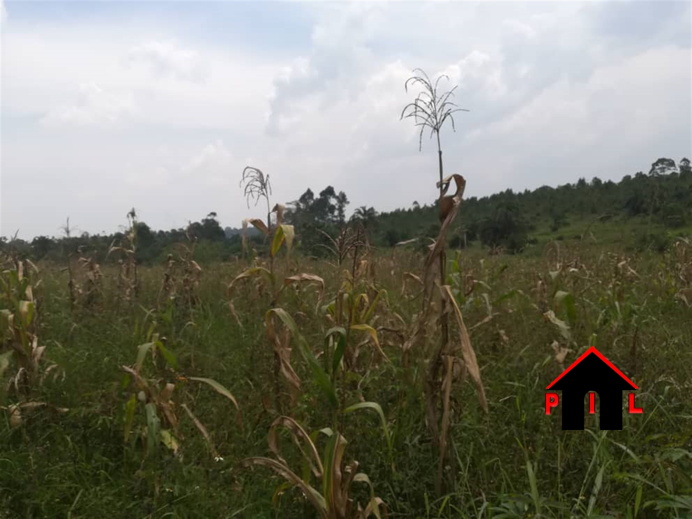 Residential Land for sale in Najjera Wakiso