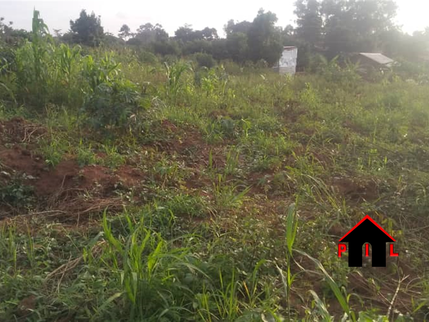 Agricultural Land for sale in Gayaza Wakiso