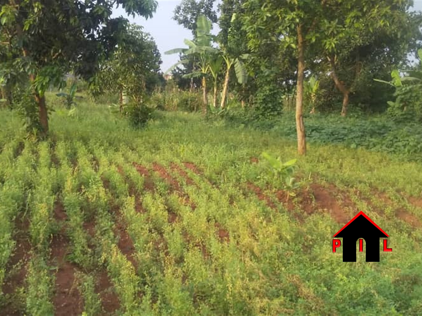 Agricultural Land for sale in Gayaza Wakiso