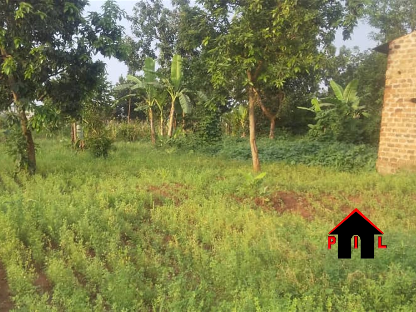 Agricultural Land for sale in Gayaza Wakiso