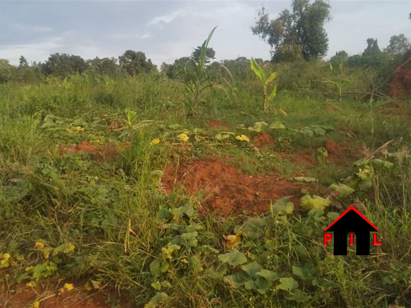 Agricultural Land for sale in Gayaza Wakiso