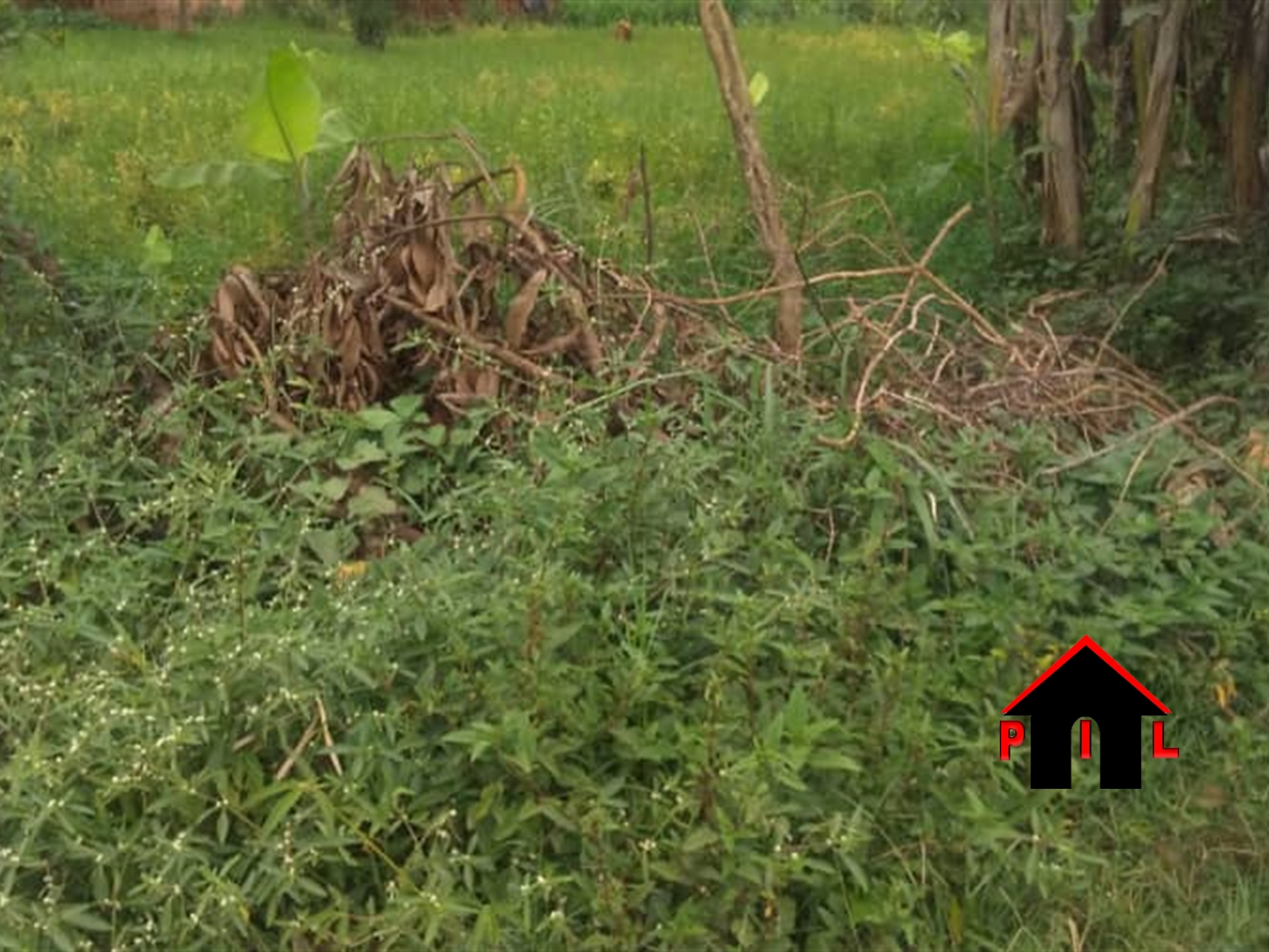 Agricultural Land for sale in Gayaza Wakiso