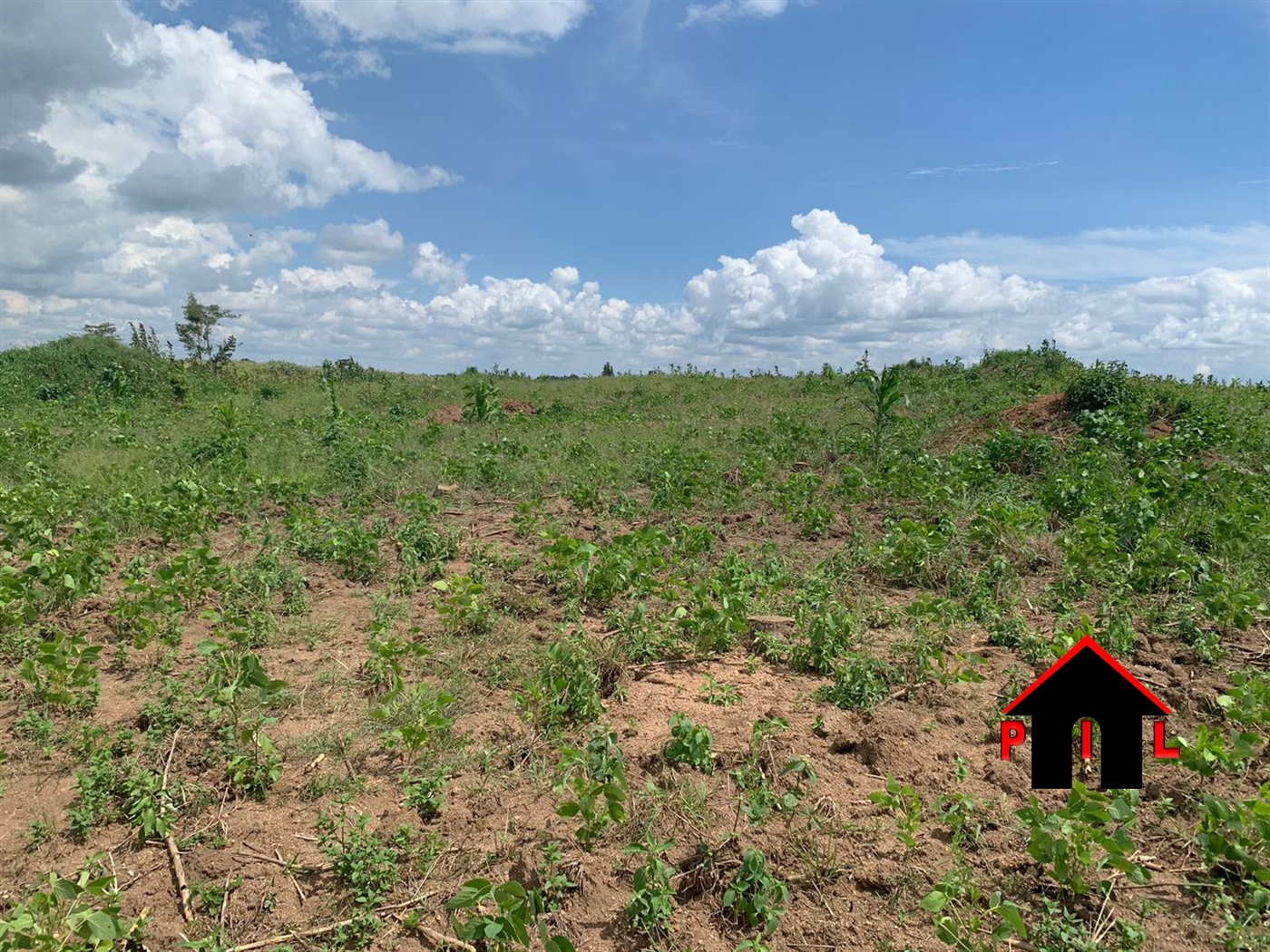 Agricultural Land for sale in Gombolola Gomba