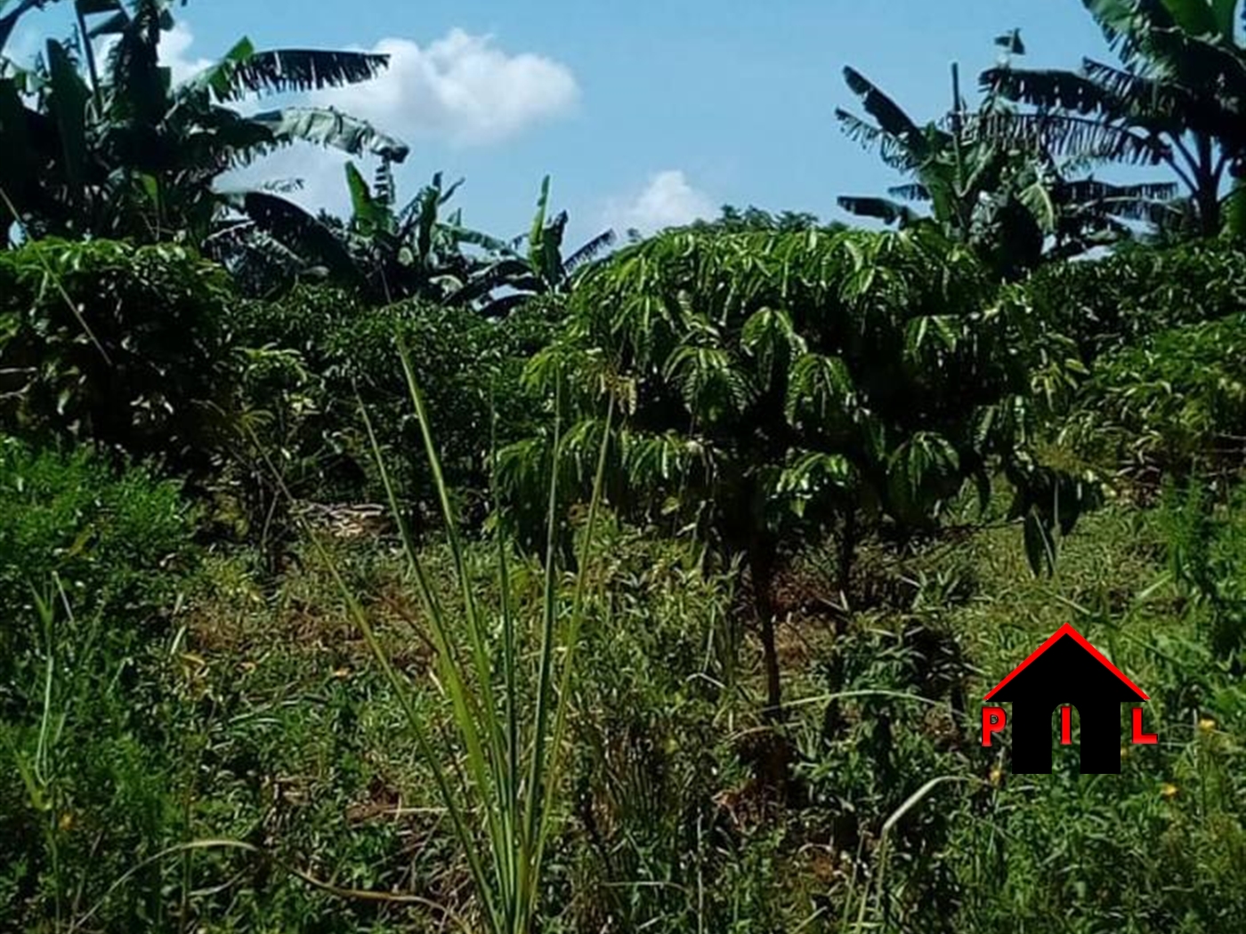 Residential Land for sale in Namugongo Wakiso