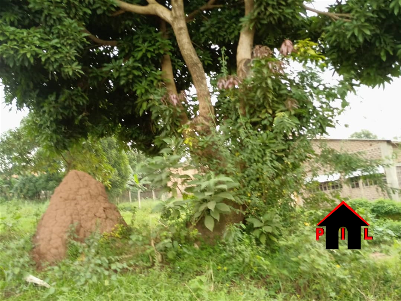 Residential Land for sale in Nsangi Wakiso