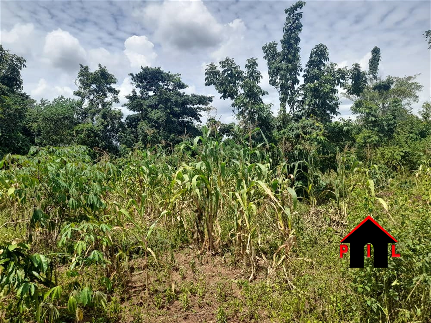 Residential Land for sale in Gayaza Wakiso