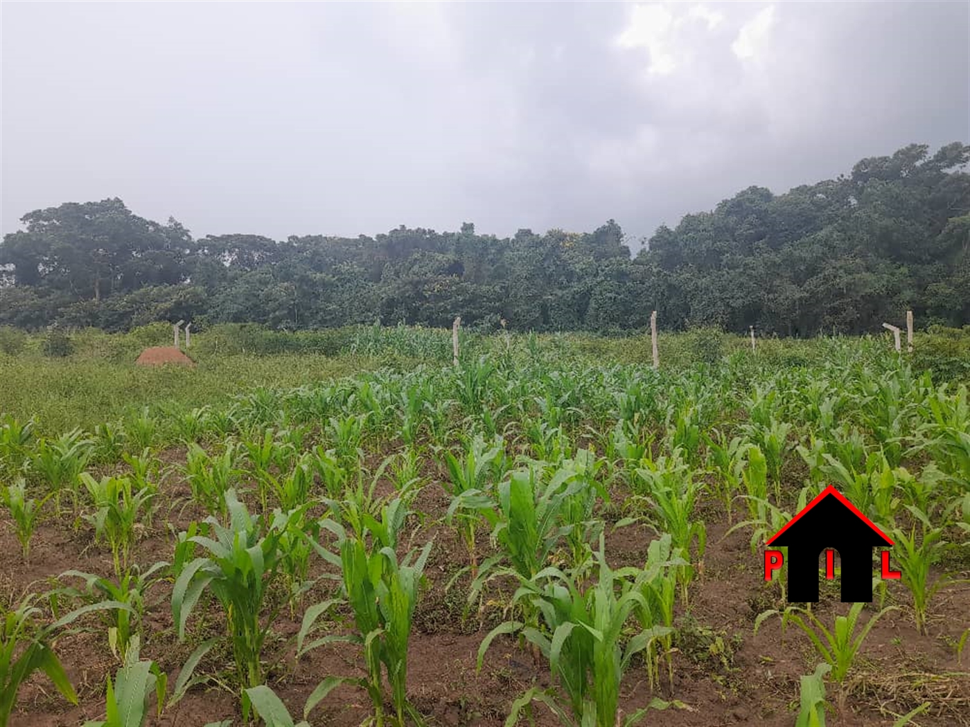 Residential Land for sale in Gayaza Wakiso