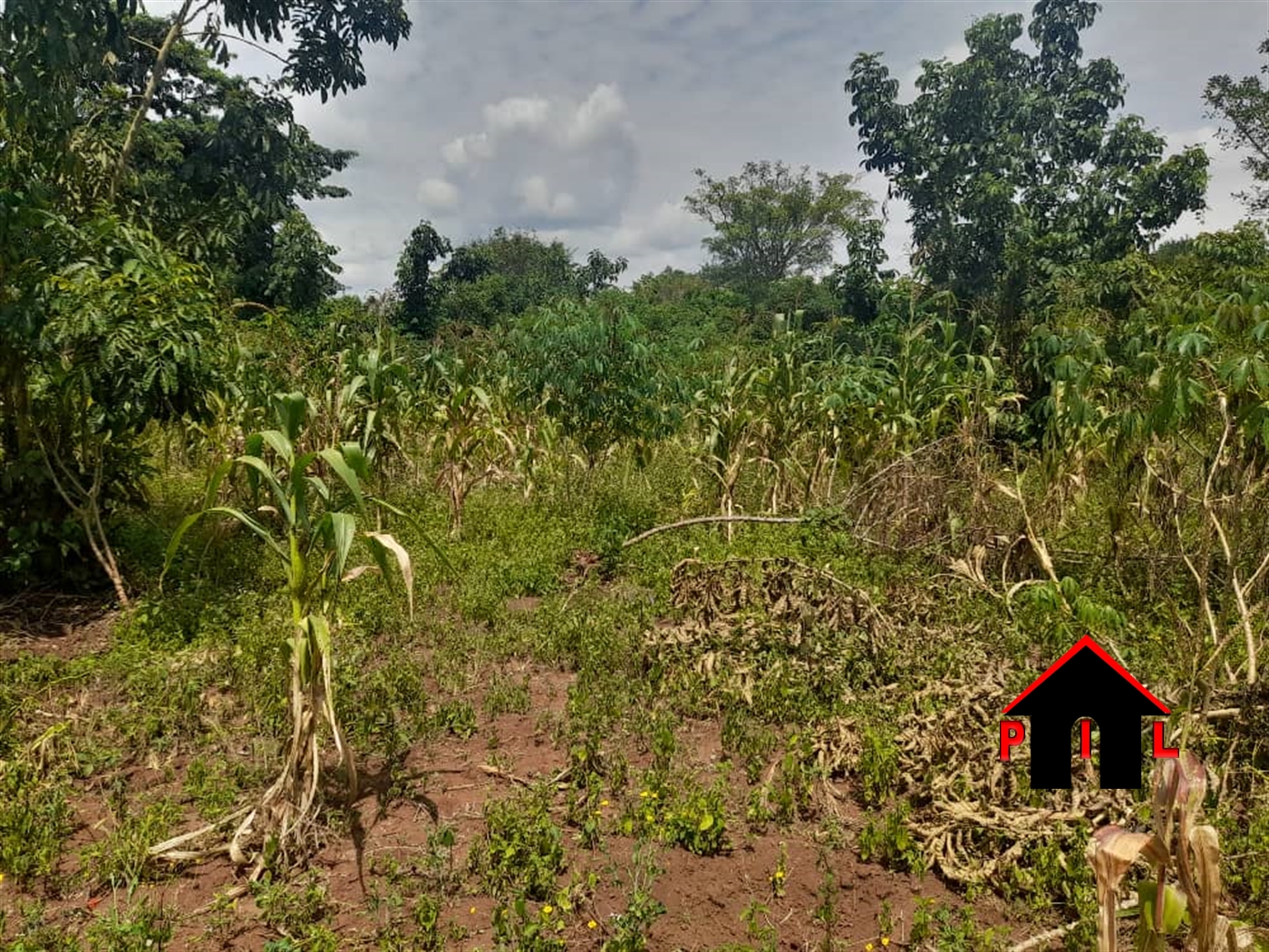 Residential Land for sale in Gayaza Wakiso