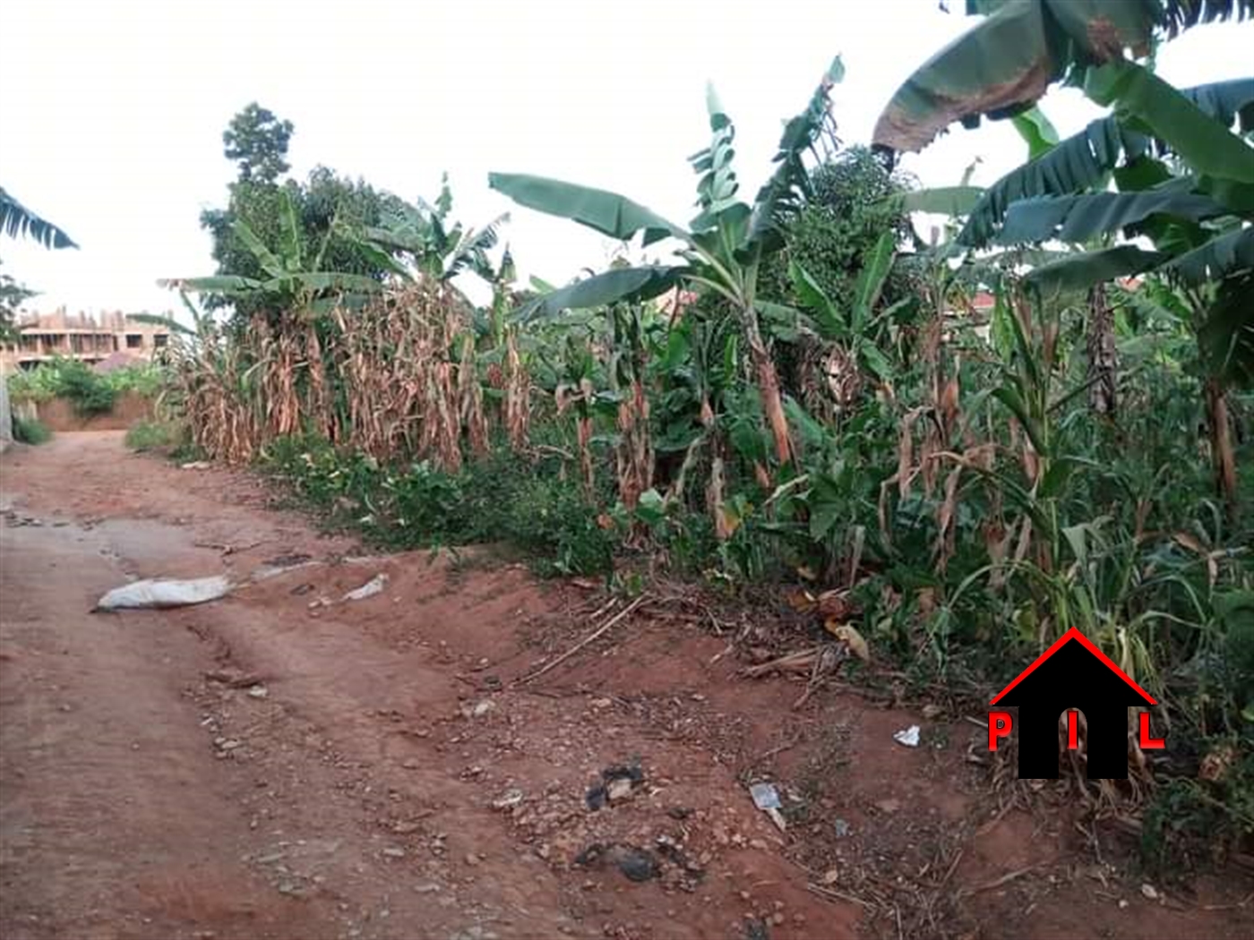 Residential Land for sale in Kasenge Wakiso