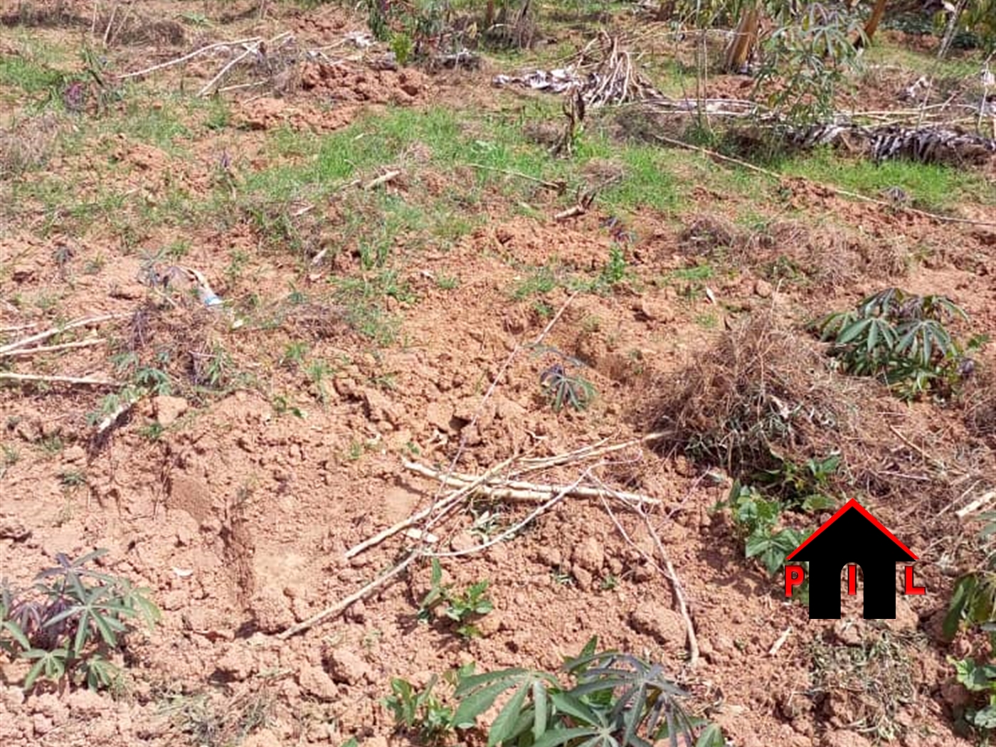 Residential Land for sale in Kasenge Wakiso