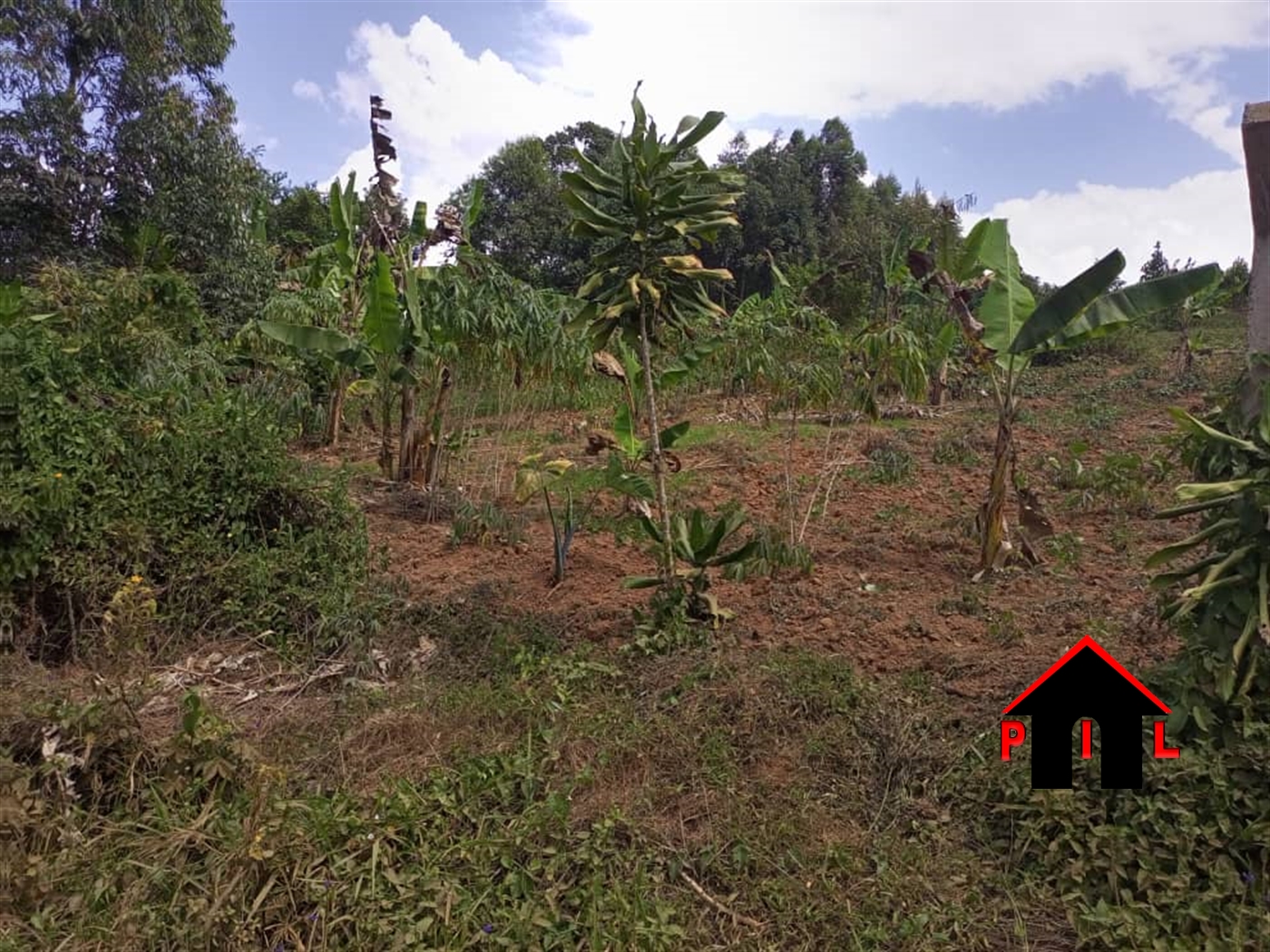 Residential Land for sale in Kasenge Wakiso