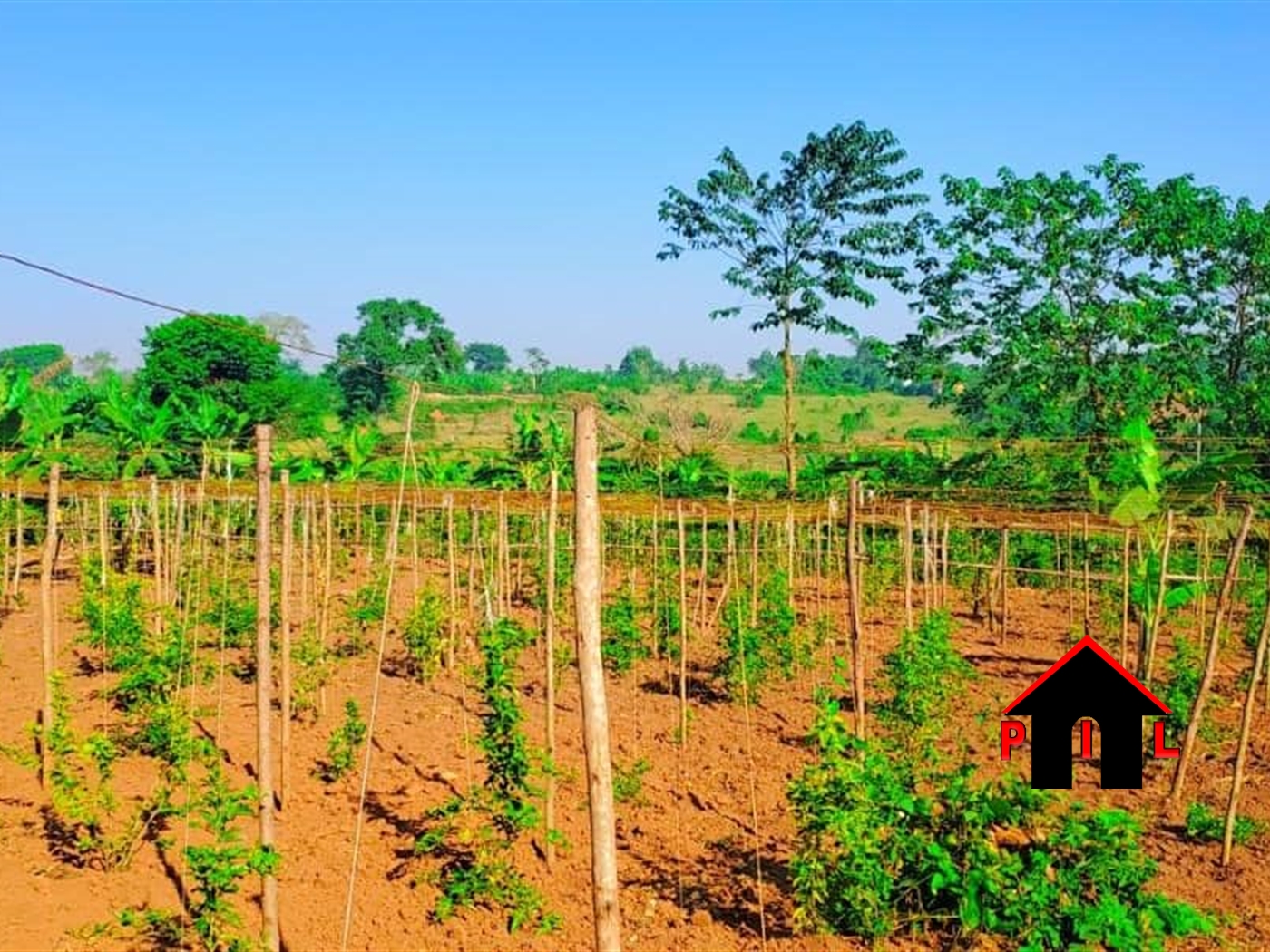 Agricultural Land for sale in Nsambwe Mukono