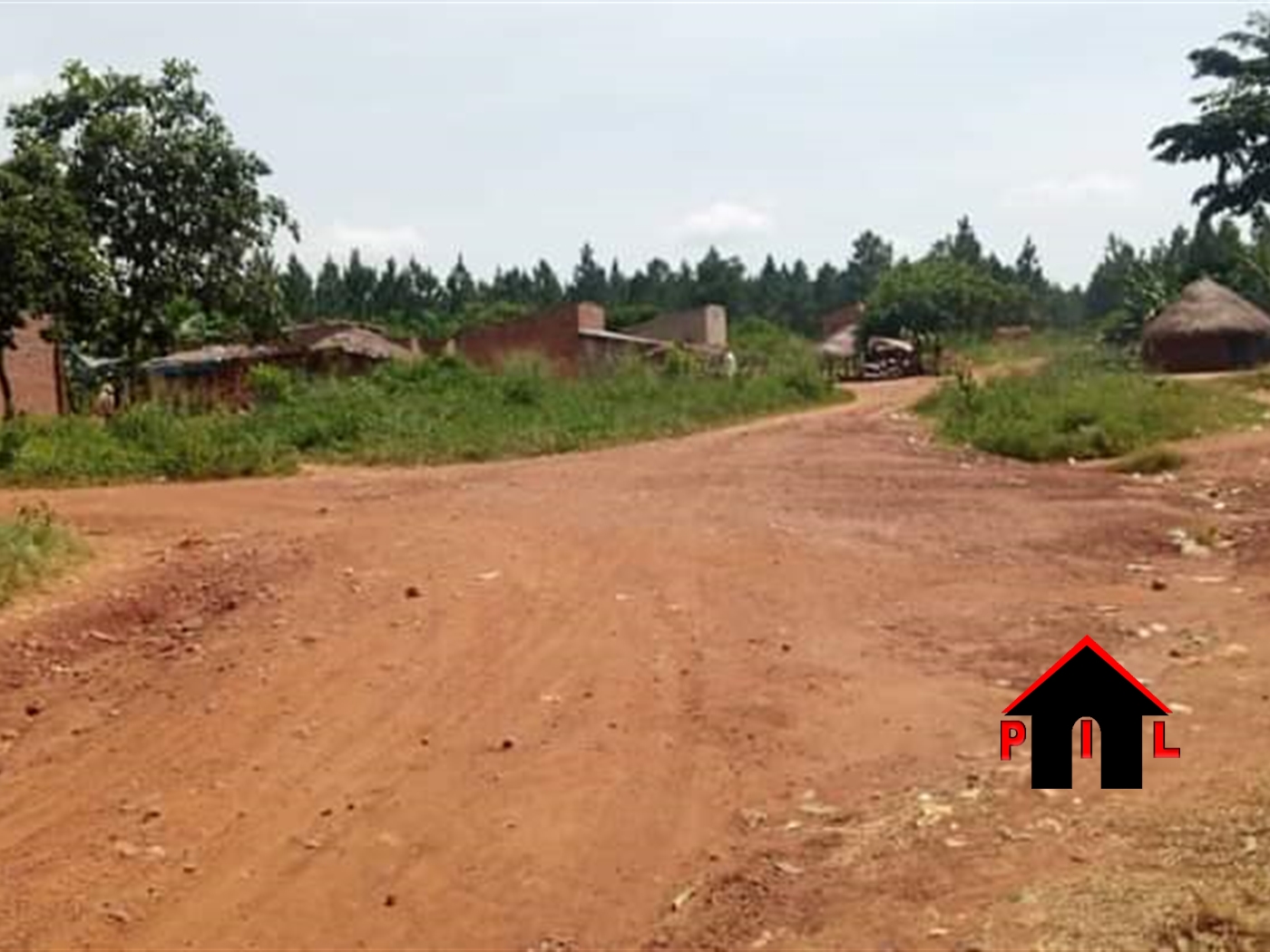 Agricultural Land for sale in Kakooge Luweero