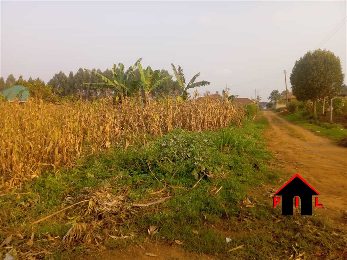 Commercial Land for sale in Bukedea Kumi