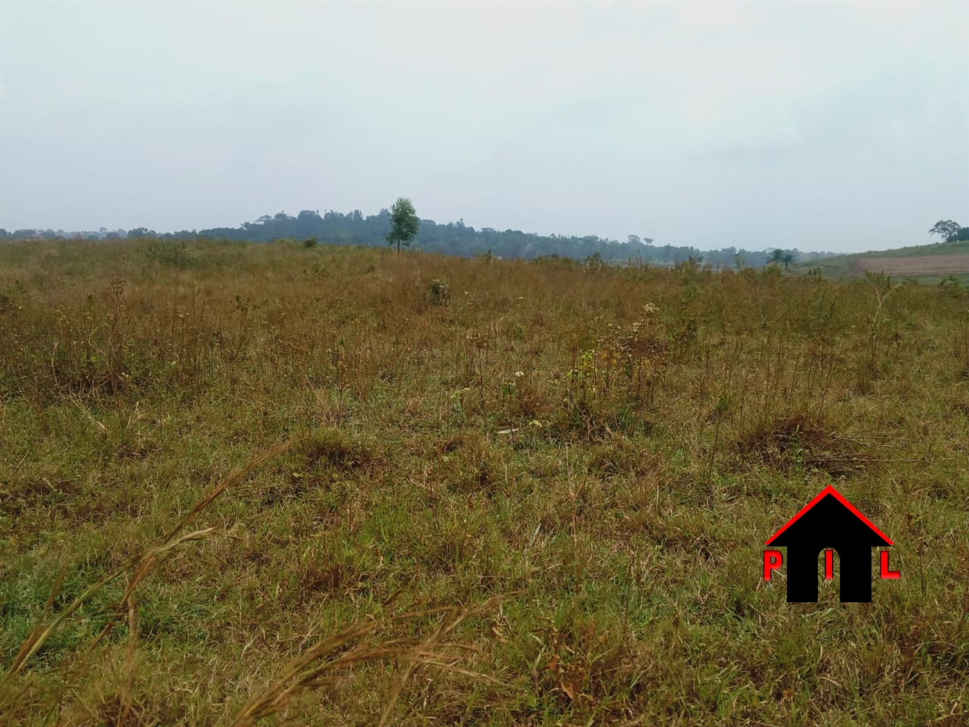 Agricultural Land for sale in Kiwanula Luweero