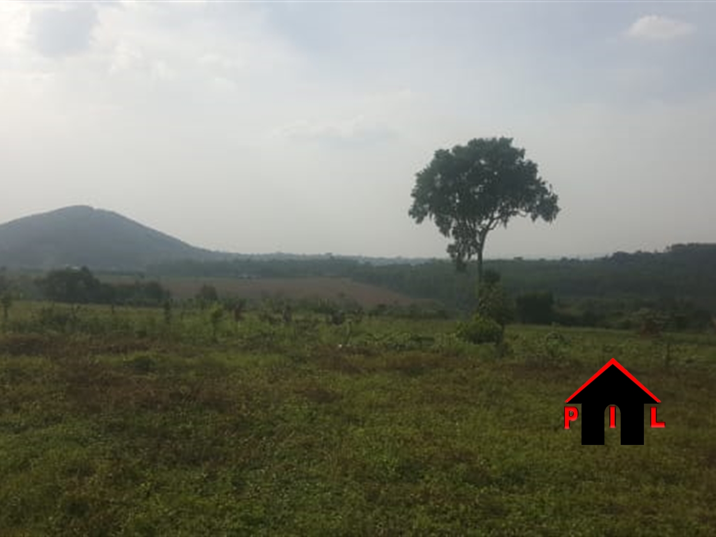 Agricultural Land for sale in Kiwanula Luweero